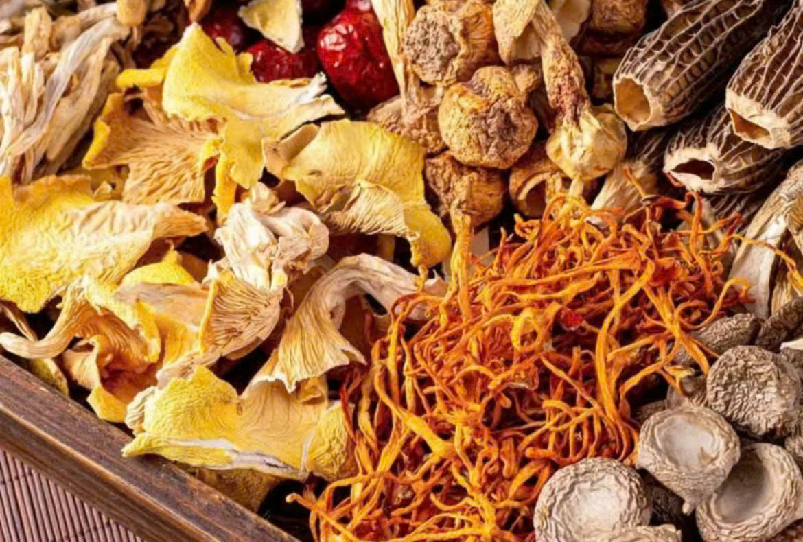 Vì sao nấm dưỡng sinh được ưa chuộng trong lối sống lành mạnh?