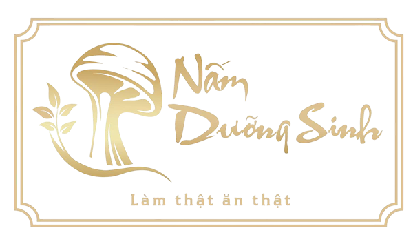 Quản lý nội dung đầu trang